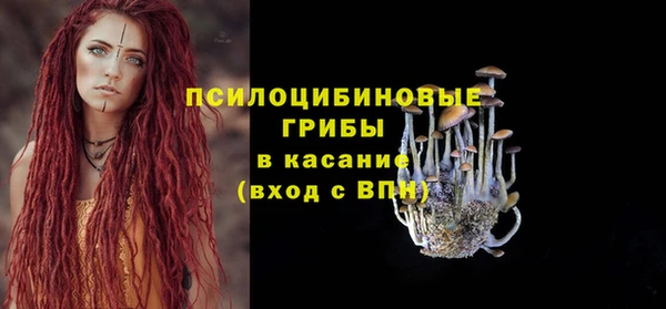 соль ск Абаза