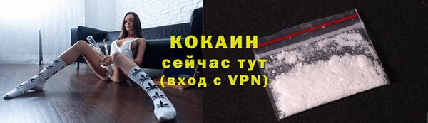 соль ск Абаза
